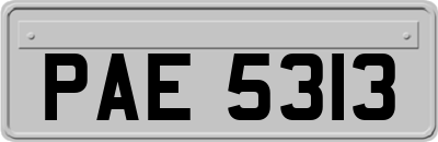 PAE5313