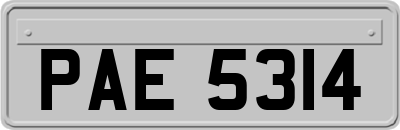 PAE5314