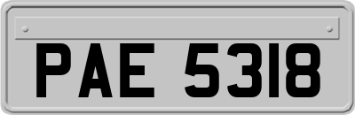 PAE5318