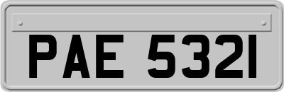 PAE5321