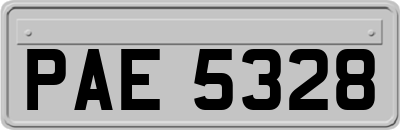 PAE5328