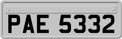 PAE5332