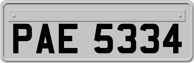 PAE5334