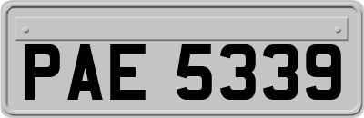 PAE5339