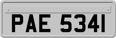 PAE5341