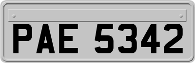 PAE5342
