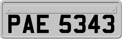 PAE5343