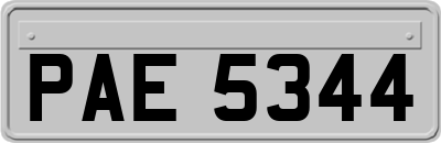 PAE5344