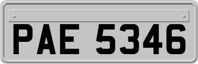 PAE5346