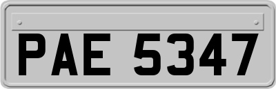PAE5347