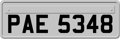 PAE5348