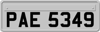 PAE5349