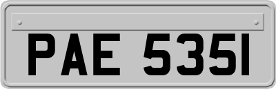 PAE5351