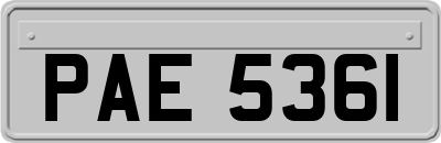 PAE5361