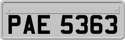 PAE5363