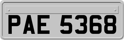 PAE5368