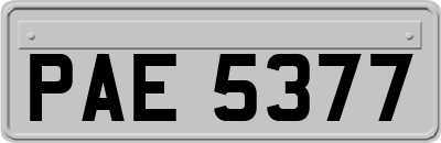 PAE5377