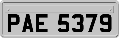 PAE5379