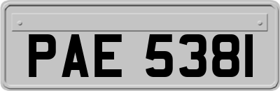 PAE5381