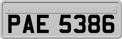 PAE5386