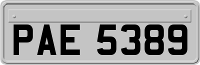 PAE5389