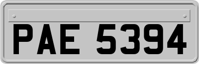 PAE5394