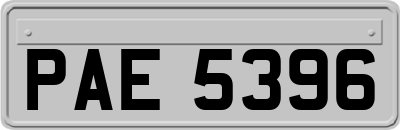 PAE5396