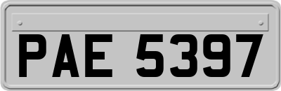 PAE5397