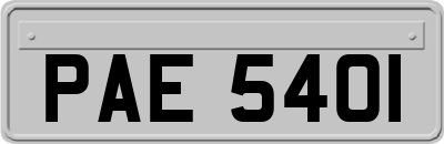 PAE5401