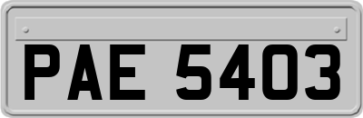 PAE5403