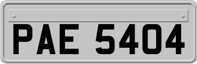 PAE5404