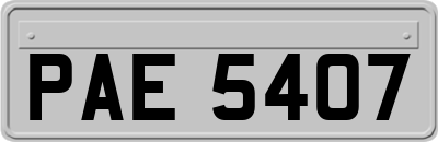 PAE5407
