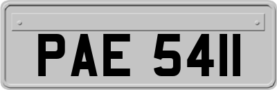 PAE5411
