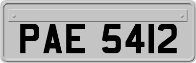 PAE5412