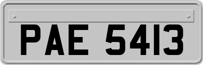 PAE5413