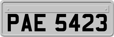 PAE5423