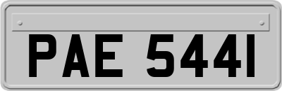 PAE5441