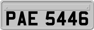PAE5446