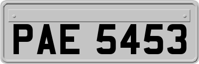 PAE5453