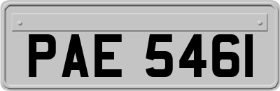 PAE5461
