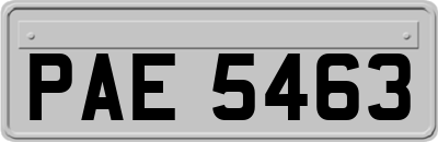 PAE5463