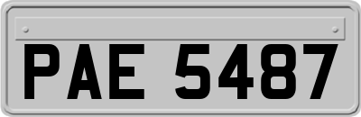 PAE5487