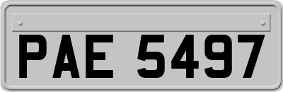PAE5497