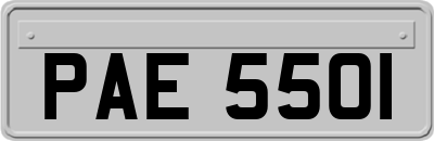 PAE5501