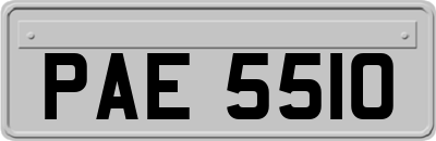 PAE5510
