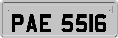 PAE5516