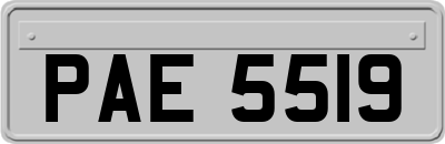 PAE5519