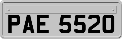 PAE5520