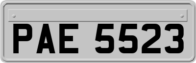 PAE5523