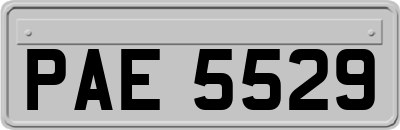 PAE5529